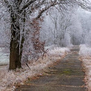 Feldweg im Winter.jpg