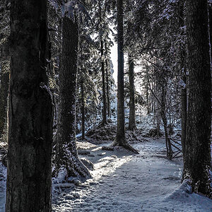 _1180035-Edit.jpg