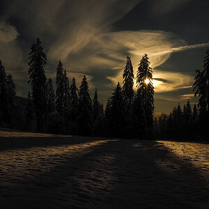_1180080-Edit.jpg