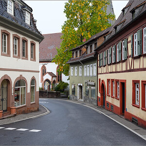 DZ7_9146-2.jpg