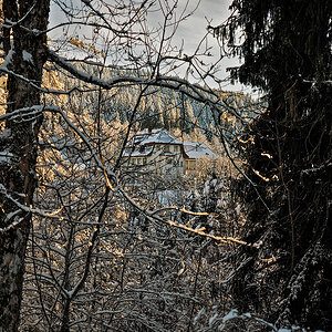 _1180108-Edit.jpg