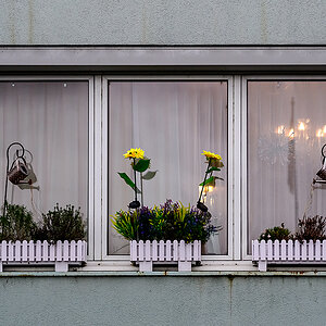 Fenster.jpg
