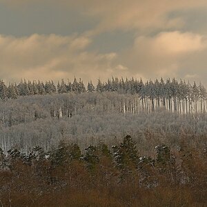wald24_1-01.JPG