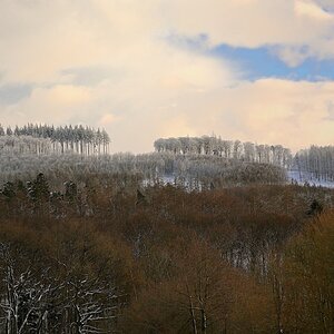 wald24_1-02.JPG
