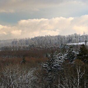 wald24_1-03.JPG