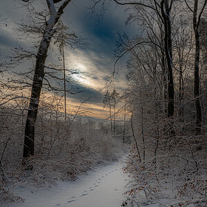 Der Weg