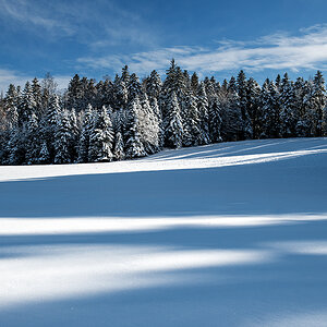Winter.jpg