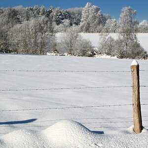 Winter24_1-01.JPG