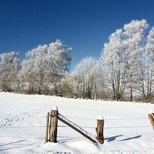 Winter24_1-02.JPG