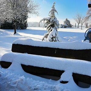 Winter24_1-03.JPG