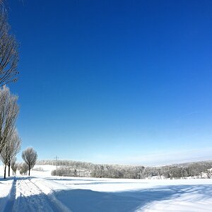 Winter24_1-04.JPG