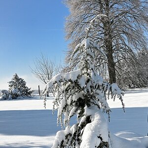 Winter24_1-06.JPG