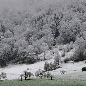 Schneegrenze.jpg