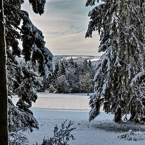 _1180023-Edit.jpg