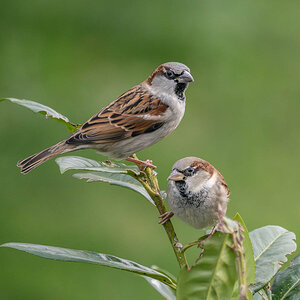 P1080173-3.jpg