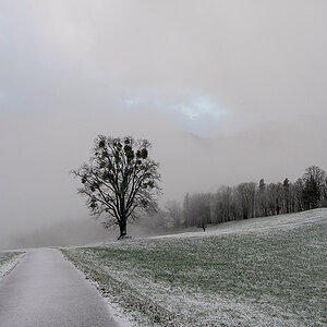 Winter.jpg