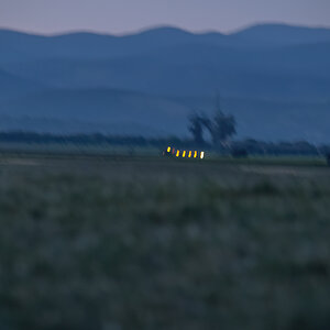 _NZ94376.jpg