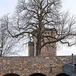 OF2_25359.jpg