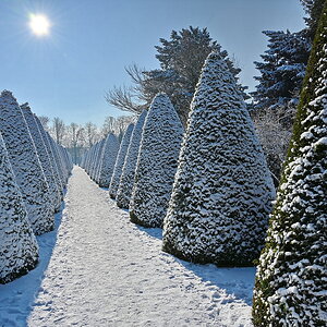 ZSE_0960_nff.JPG