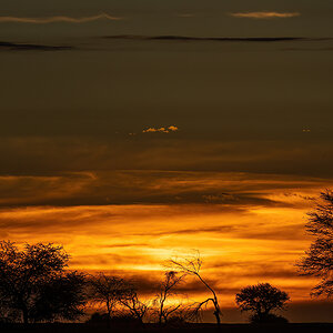 _R054753_20171121_191939-1200.jpg