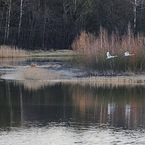 Oldenstädter See.jpg