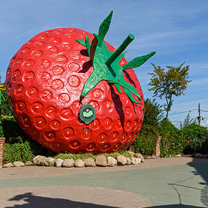 OF2_65820.jpg