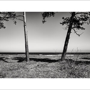 L1003735-Bearbeitet.JPG