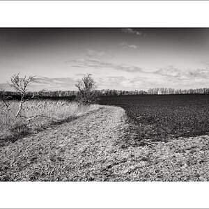 L1003135-Bearbeitet.JPG
