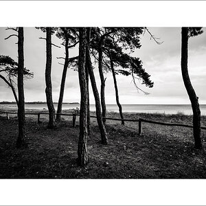 L1003171-Bearbeitet.JPG