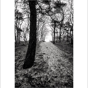 L1003190-Bearbeitet.JPG