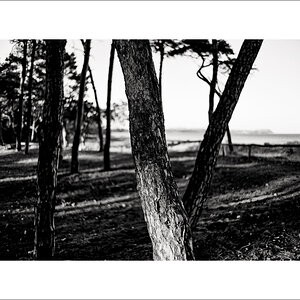 L1003111-Bearbeitet.JPG