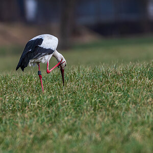 DSC_3963.jpg