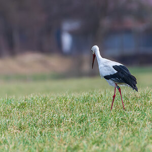 DSC_3962.jpg