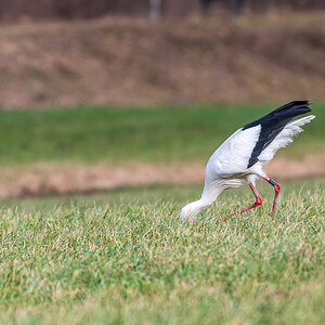 DSC_3970.jpg