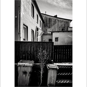 20230412-L1004355-Bearbeitet.JPG