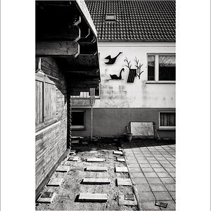 20230410-L1004273-Bearbeitet.JPG