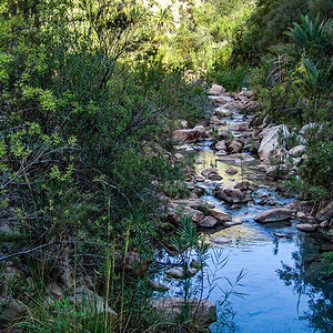 DSC05693-Edit.jpg