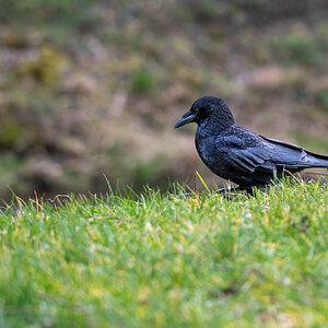 20230311-NZ6_5702.jpg