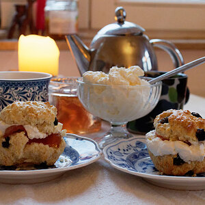 Afternoon Tea.jpg