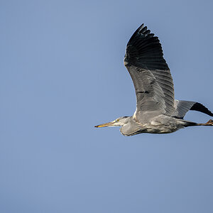 _RGZ0199-Koks-Loch-1200.jpg