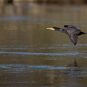 _RGZ0209-Koks-Loch-1200.jpg
