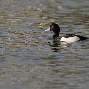 _RGZ0382-Koks-Loch-1200.jpg