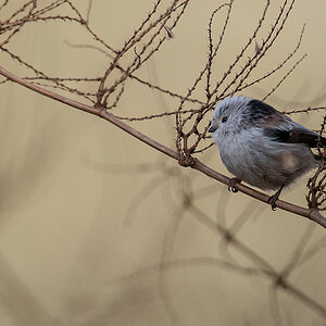 _RGZ0521-Kocks-Loch-1200.jpg