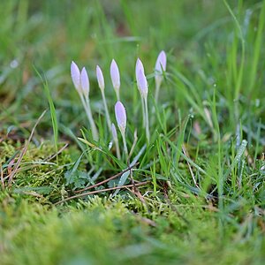 Frühling2024_01.jpg