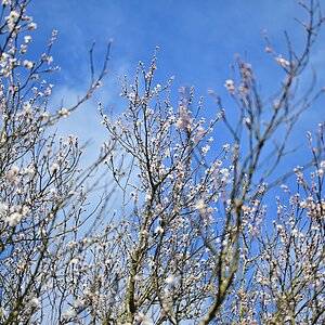 Frühling2024_08.jpg