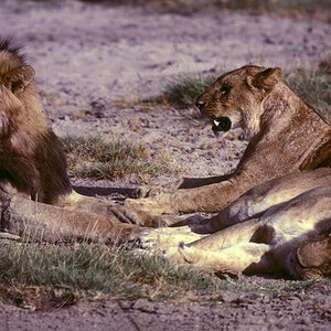 Kenia136bearbeitetklein Kopie.jpg