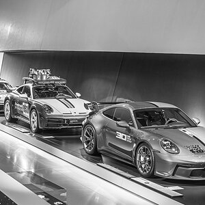 Z8A_5383.jpg