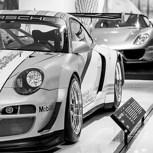 Z8A_5729.jpg