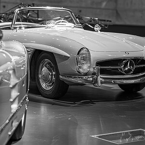 Z8A_6779.jpg