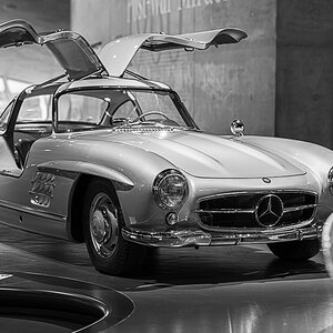 Z8A_6783.jpg